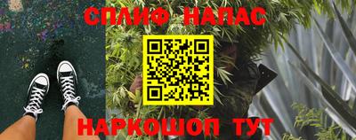 бошки Тара