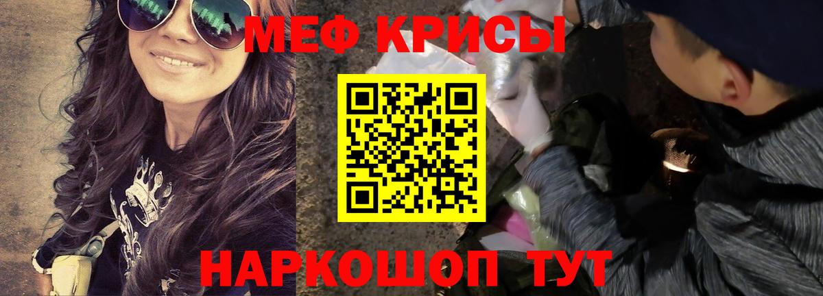 МЯУ-МЯУ VHQ    зеркало  МЕФ 4 MMC  МЕФ  Алексин  МЯУ-МЯУ  Вход с VPN 