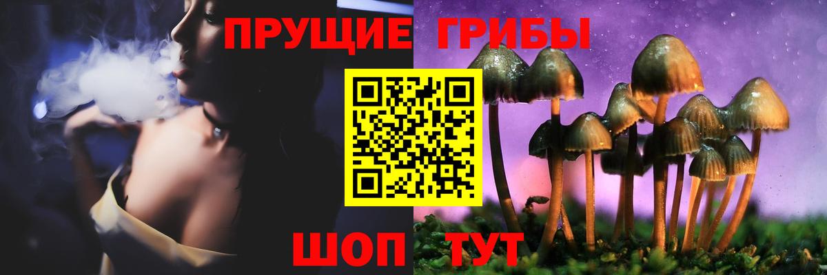 Алексин  Псилоцибиновые грибы мухоморы  Галлюциногенные грибы Magic Shrooms  Вход с VPN 